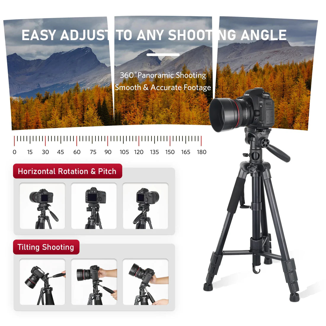 Trépied professionnel D800